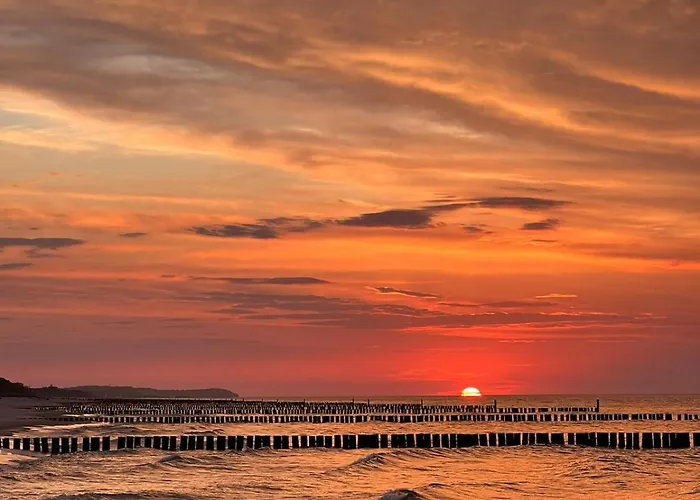 Caloroczny Drewniany W Odargowie Hola Amigo بيت للعطل